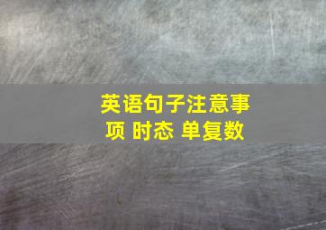 英语句子注意事项 时态 单复数